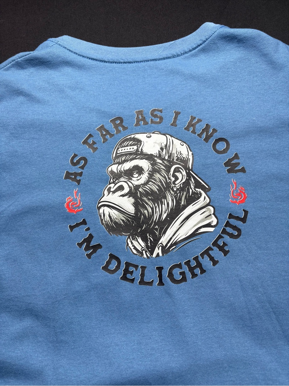 Hanes Blue Graphic Tee with Monkey Illustration